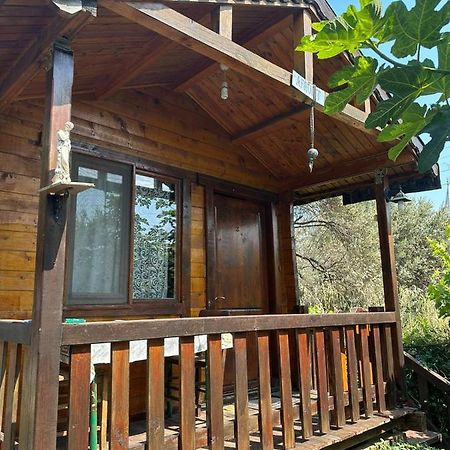 Aparthotel Olimpos Bungalov Apart à Balikliova Extérieur photo