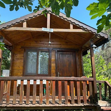 Aparthotel Olimpos Bungalov Apart à Balikliova Extérieur photo