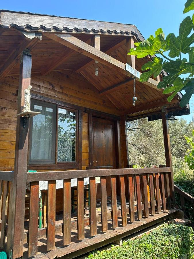 Aparthotel Olimpos Bungalov Apart à Balikliova Extérieur photo